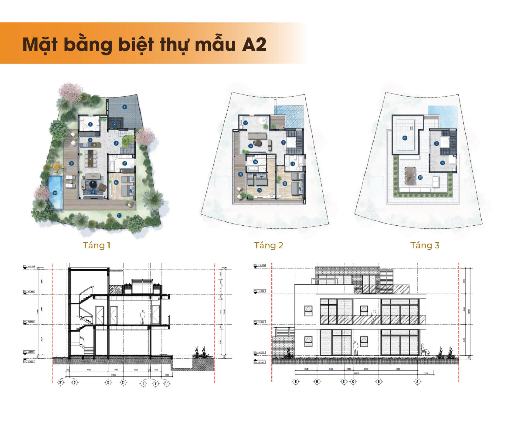 Sơ đồ mặt bằng biệt thự mẫu A2