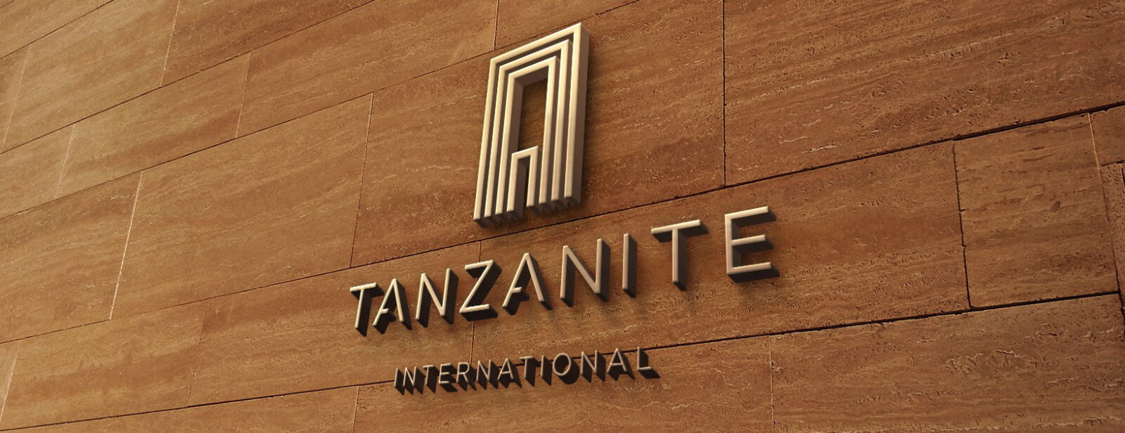 Logo Cong ty Tanzanite International The Hamptons Ho Tram