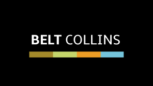 Belt-Collins_avatar