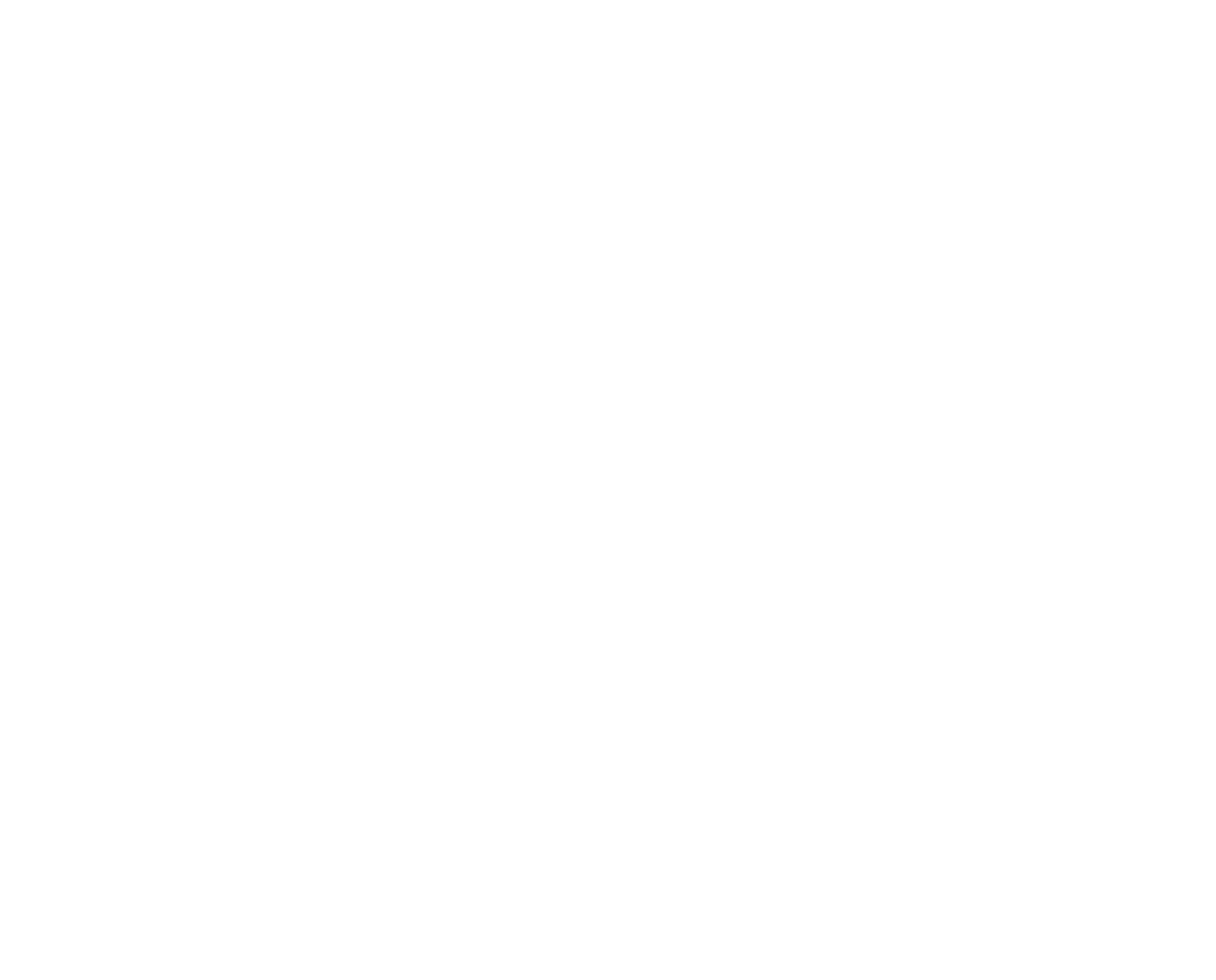 logo the 9 stellars