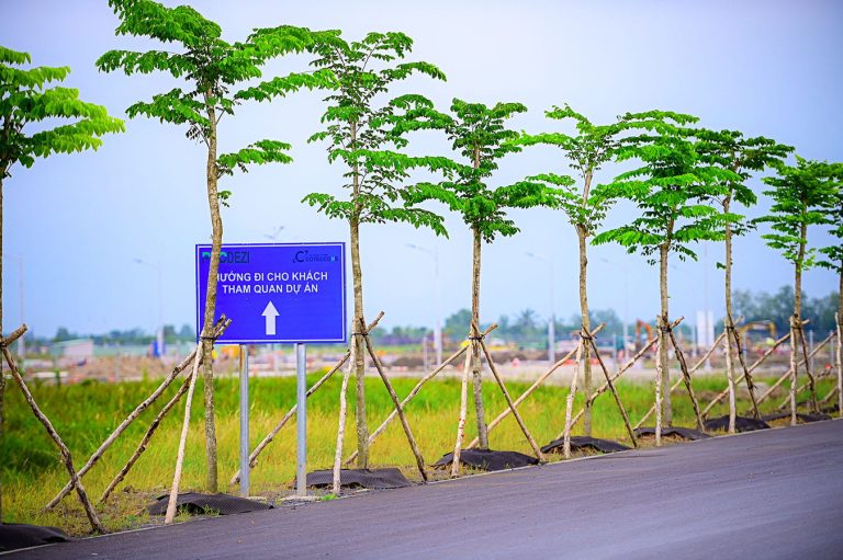 la-home-long-an-tien-do-2
