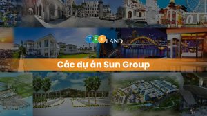 du-an-sun-group-avatar