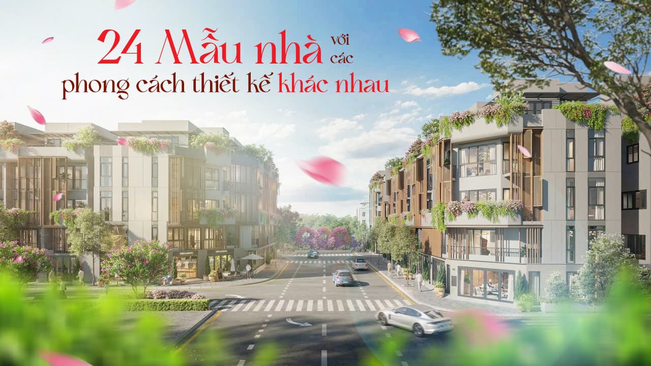 Anh 24 mau nha 1