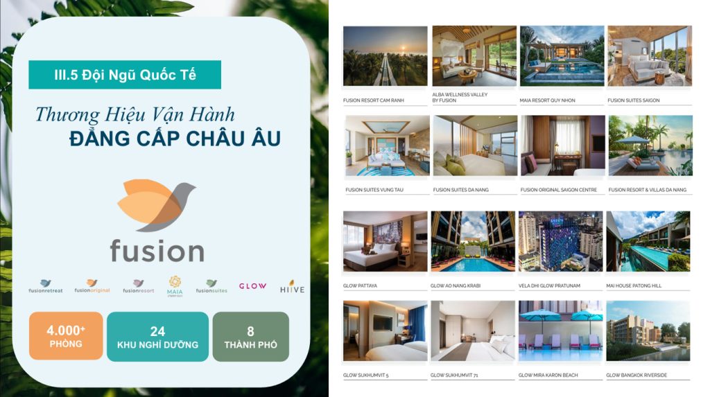 Thương hiệu vận hành đẳng cấp Fusion