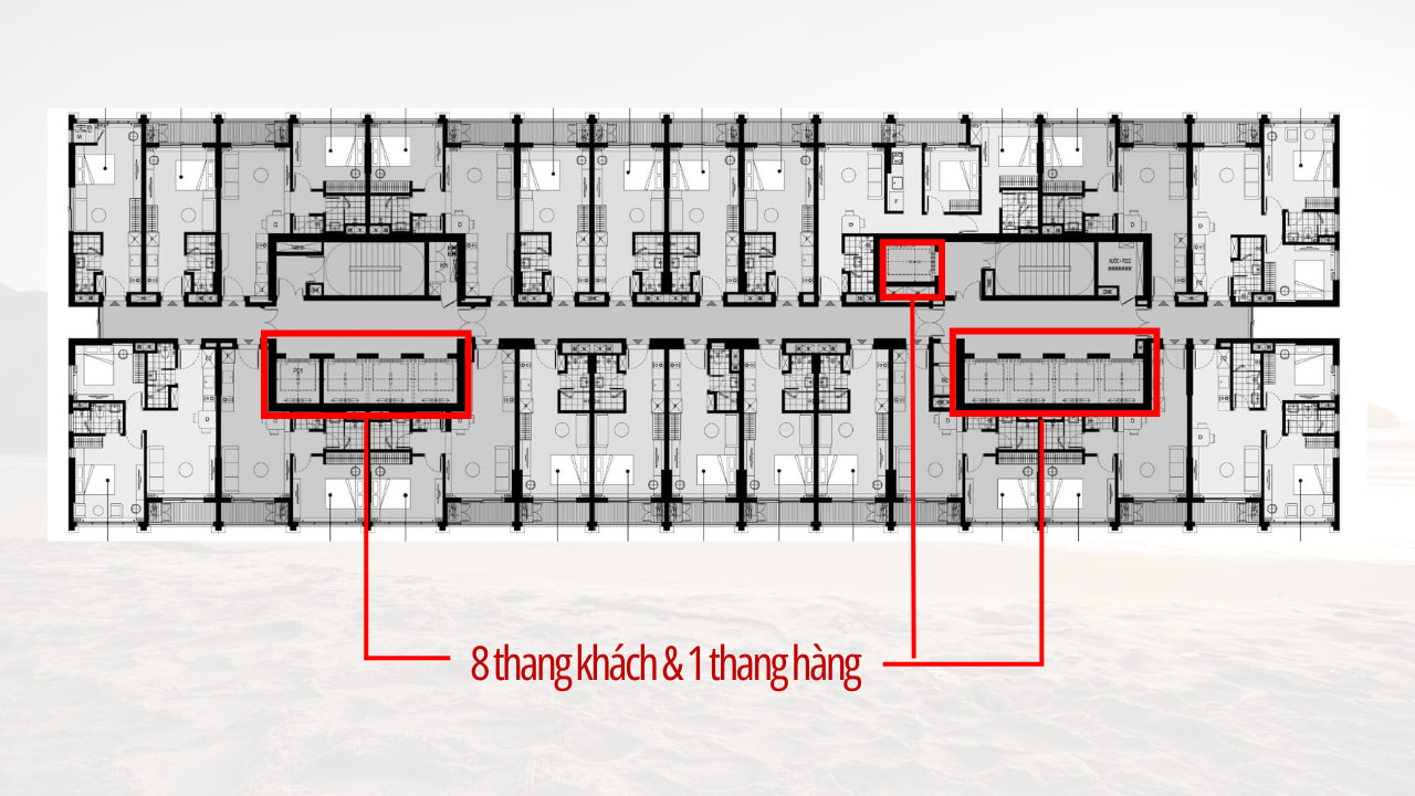thang-may-can-ho-studio-blanca-city