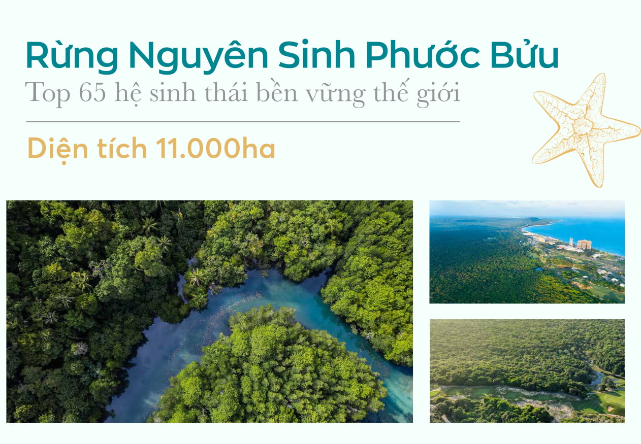thi-truong-du-lich-ho-tram-rung-nguyen-sinh