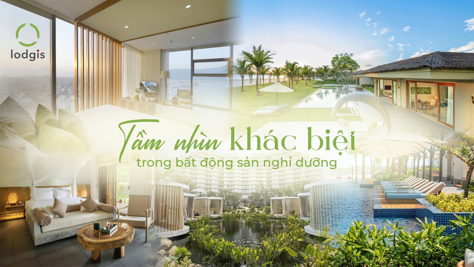 Chu dau tu Lodgis tam nhin