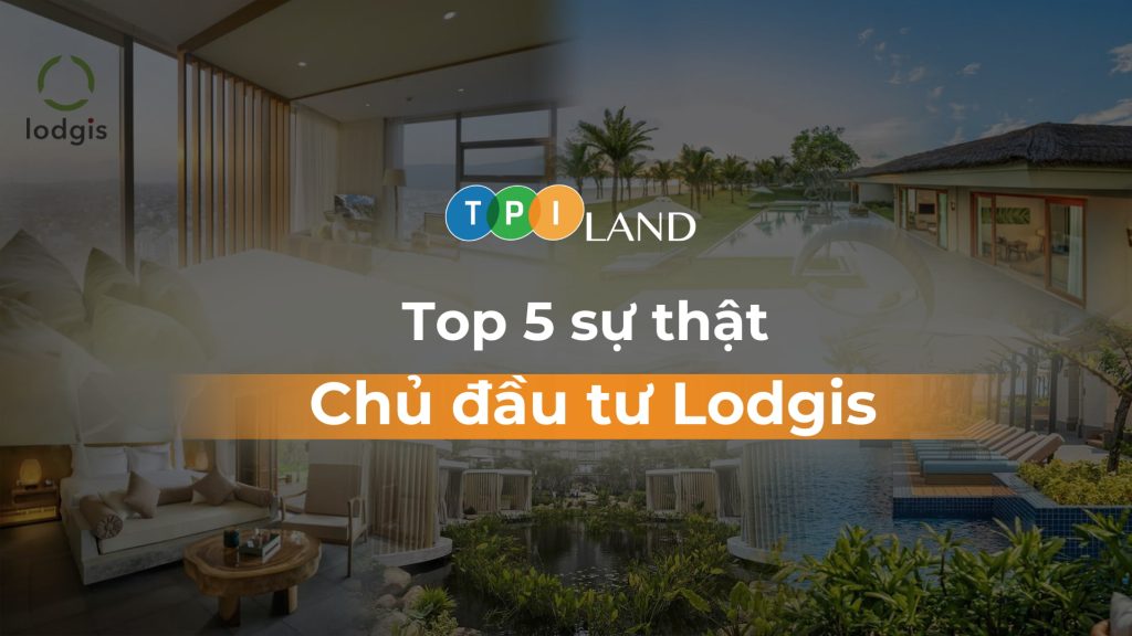 Chu dau tu Lodgis thumb ngang
