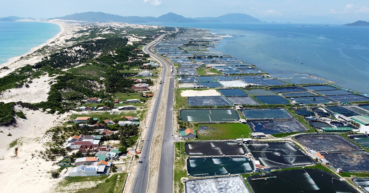 Khu do thi Dam mon toan canh