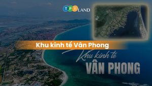 Thumb-SEO-Kinh-te-van-phong