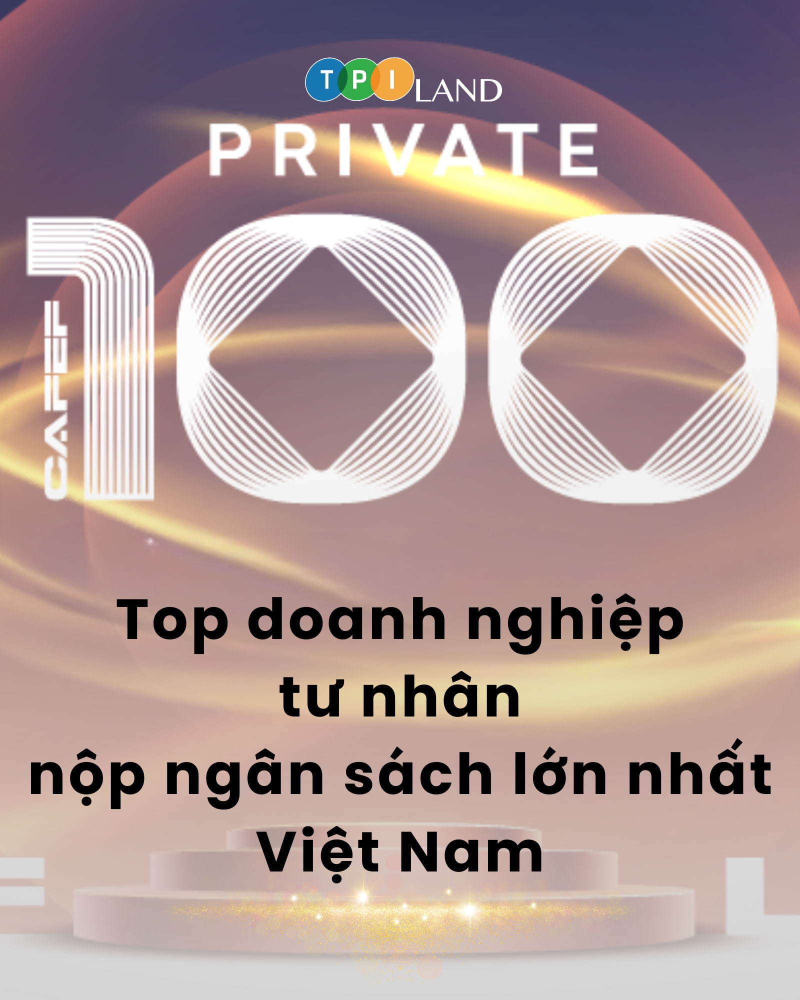 Thumb doc Top doanh nghiep tu nhan gop ngan sach lon nhat Viet Namf