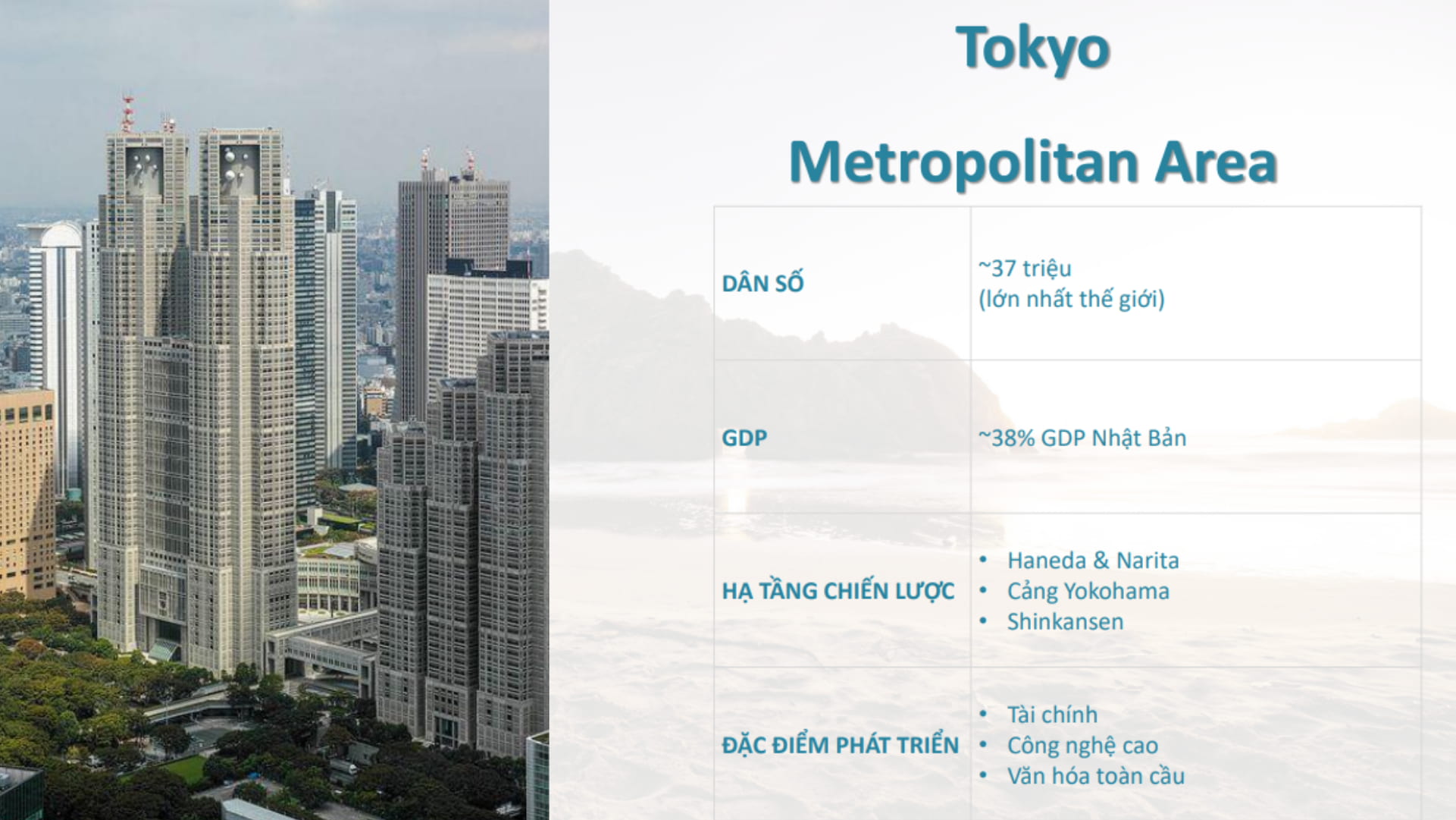 mo-hinh-da-cuc-tokyo-metropolitan-area-thanh-cong-HCM-Metropolitan-Area (1)