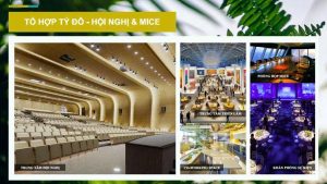 lo-trinh-phat-trien-the-grand-ho-tram-8