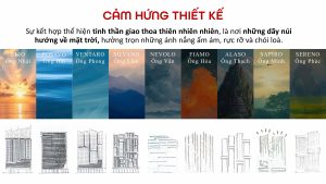 the-sunset-toa-alaso-ong-thach-10