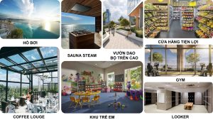 the-sunset-toa-alaso-ong-thach-15