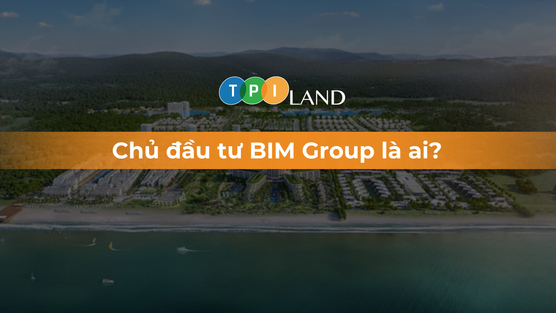 chu dau tu bim group avt