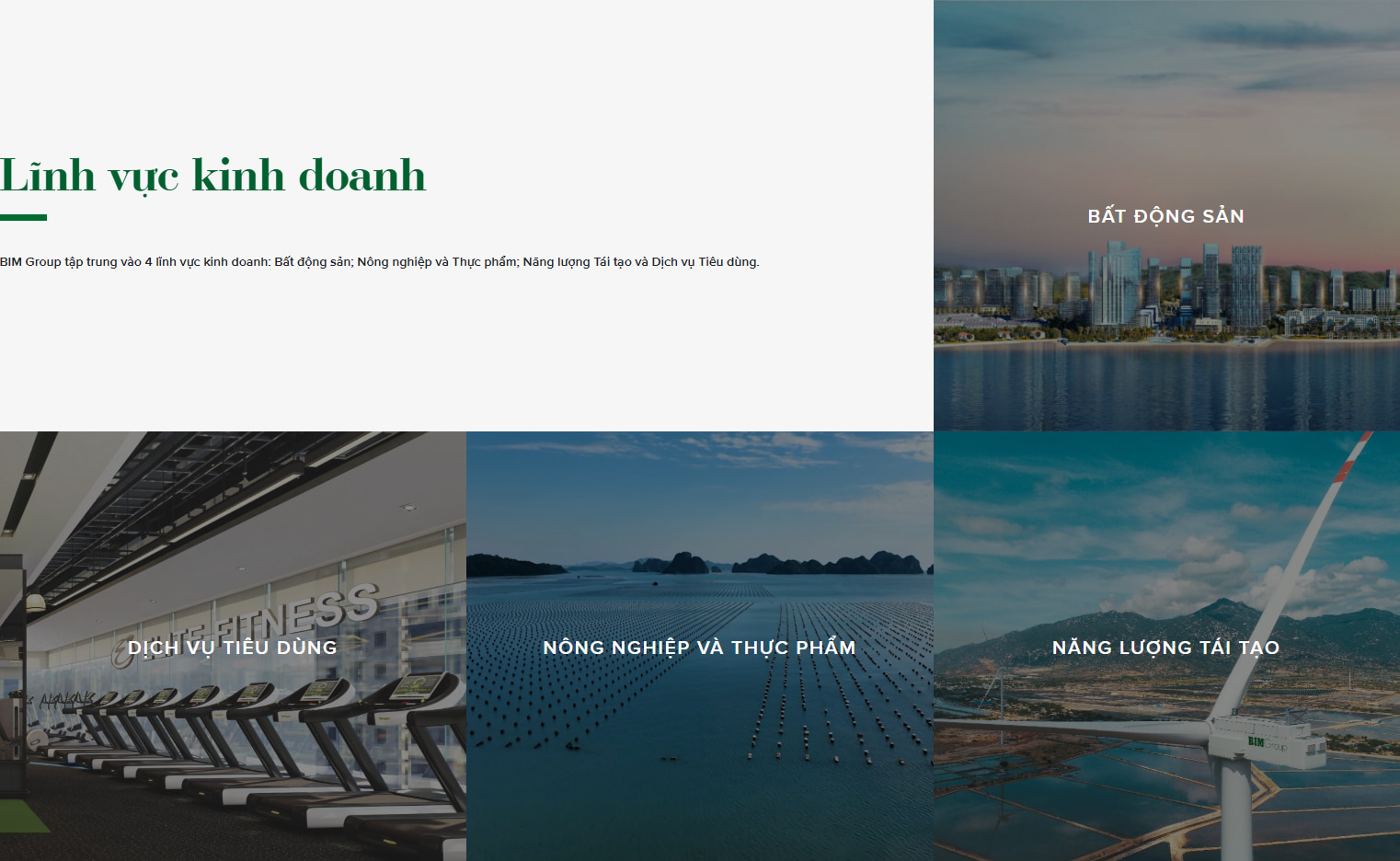 4 lĩnh vực tập trung của chủ đầu tư BIM Group