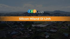Silicon Hiland Di Linh