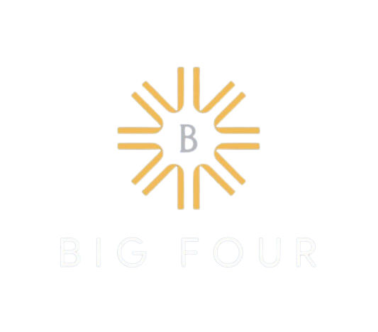 logo big four water concept