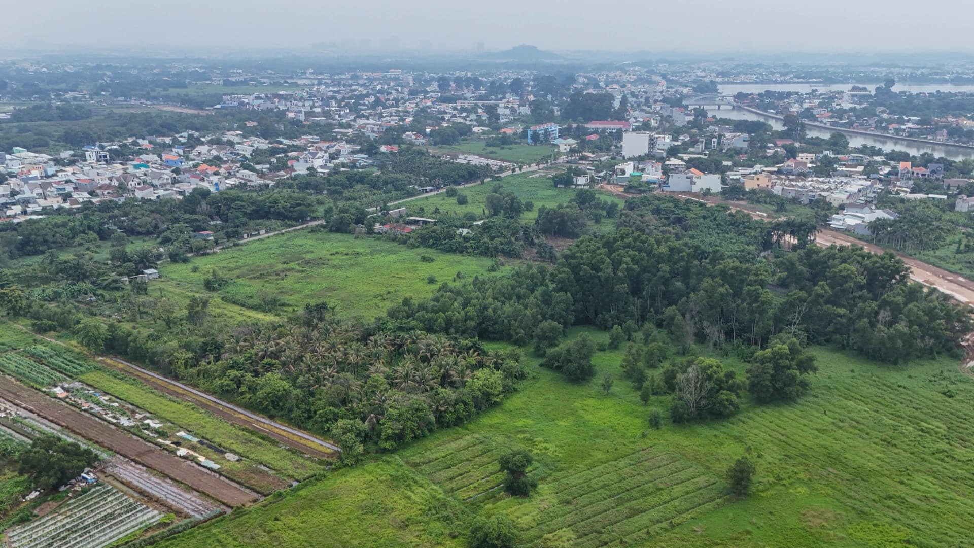 thuc-te-sun-cu-lao-hiep-hoa-2