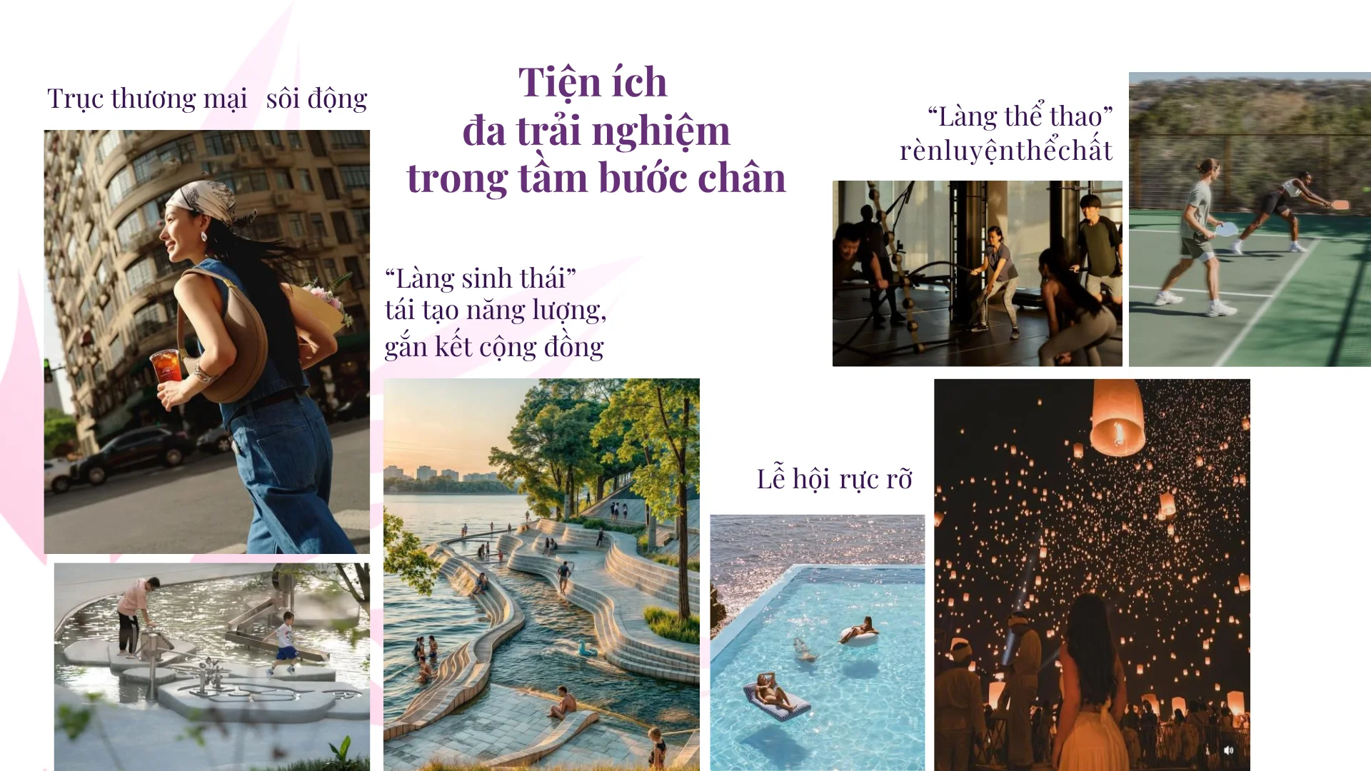 he-sinh-thai-da-dang-tai-bim-thanh-phu