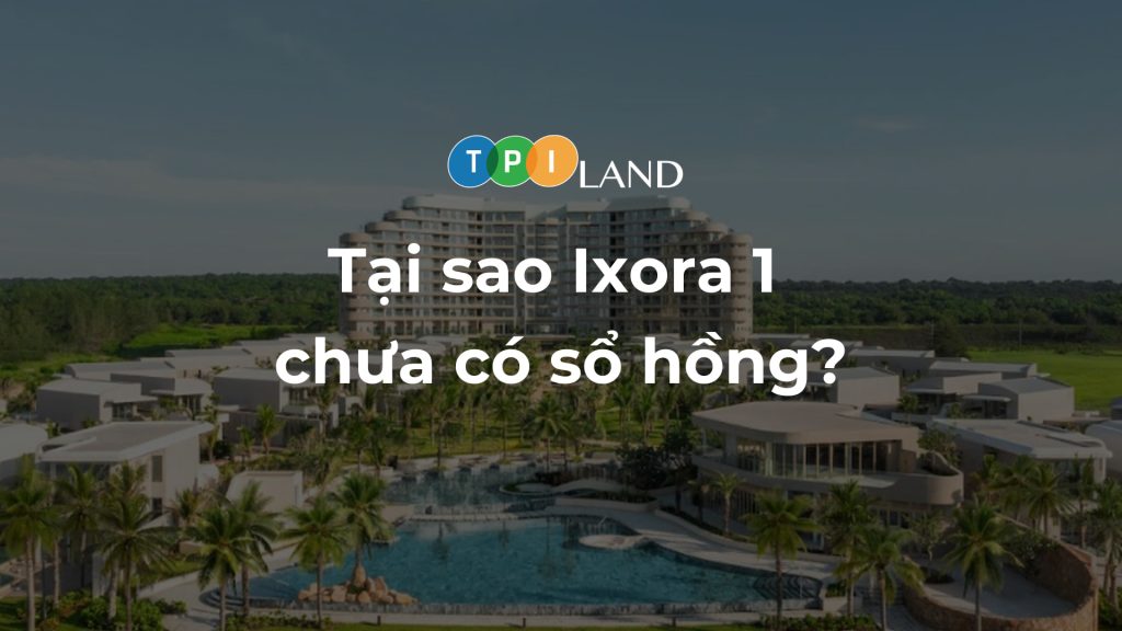 tai-sao-ixora-1-chua-co-so-hong-thumb