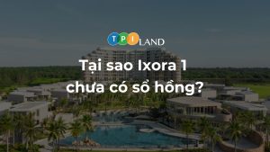 tai-sao-ixora-1-chua-co-so-hong-thumb