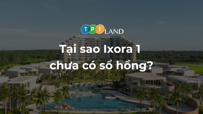 tai-sao-ixora-1-chua-co-so-hong-thumb