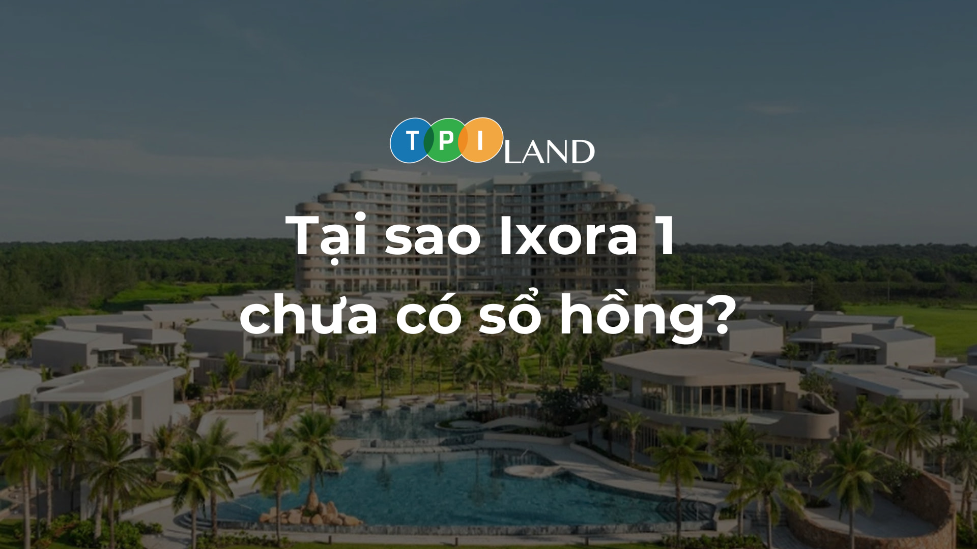 tai-sao-ixora-1-chua-co-so-hong-thumb