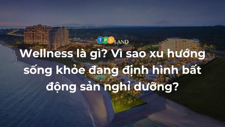 Wellness-la-gi