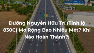 Duong-Nguyen-Huu-Tr-Tinh-lo-830C-Mo-Rong