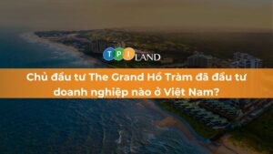 thumb-chu-dau-tu-the-grand-ho-tram-da-dau-tu-doanh-nghiep-nao-tai-viet-nam