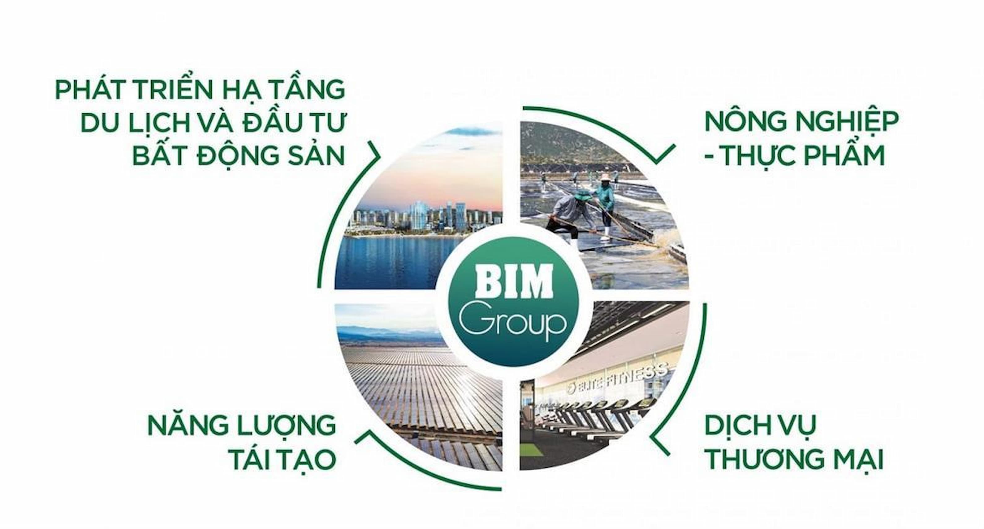 4-linh-vuc-cua-bim-group