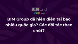 Bim-Group-da-hien-dien-tai-bao-nhieu-quoc-gia-Cac-doi-tac-then-chot