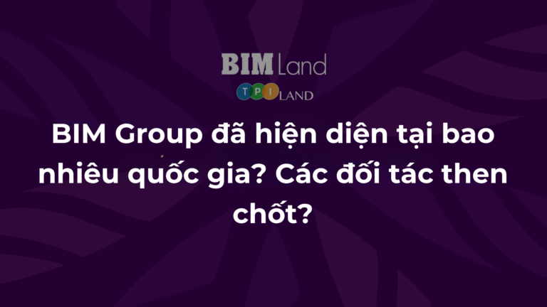 Bim-Group-da-hien-dien-tai-bao-nhieu-quoc-gia-Cac-doi-tac-then-chot
