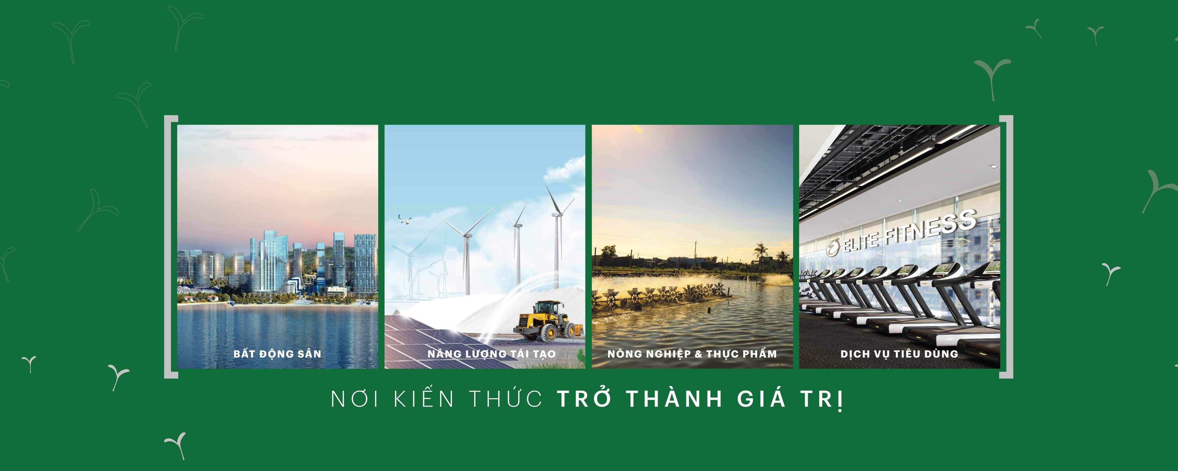 Tai-sao-noi-dong-tien-BIM-Group-cuc-ky-on-dinh-1