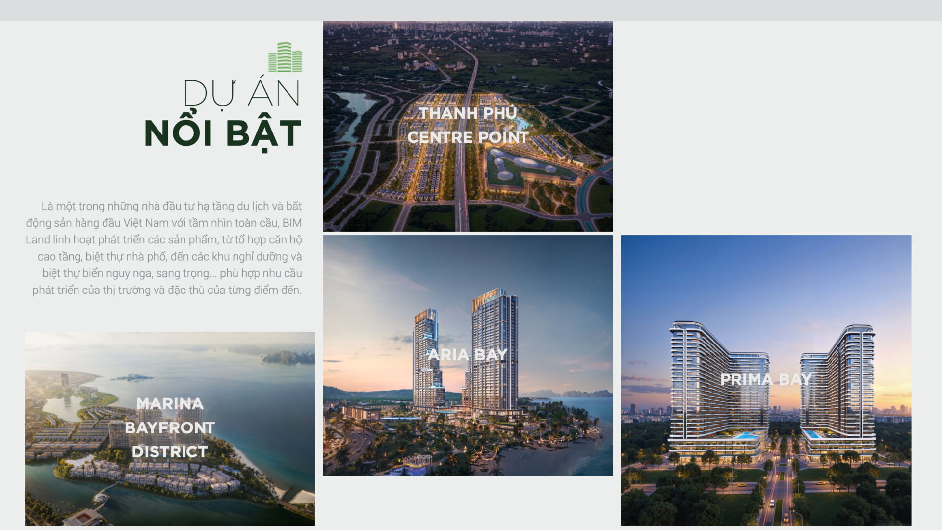 Tai-sao-noi-dong-tien-BIM-Group-cuc-ky-on-dinh-2
