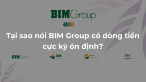 Tai-sao-noi-dong-tien-BIM-Group-cuc-ky-on-dinh
