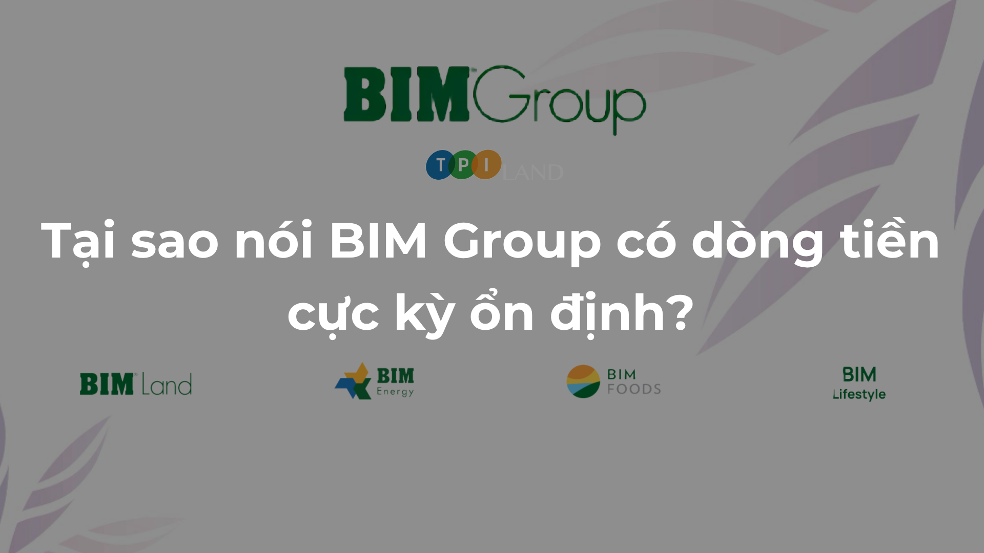Tai-sao-noi-dong-tien-BIM-Group-cuc-ky-on-dinh